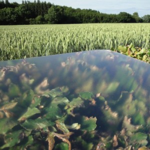 taeppegulv - kontor – indretning -beskyttelse- kontorstol - stoleunderlag
