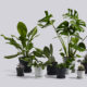 HAY - Kontortilbehoer - Kontormoebler - Flowerpot